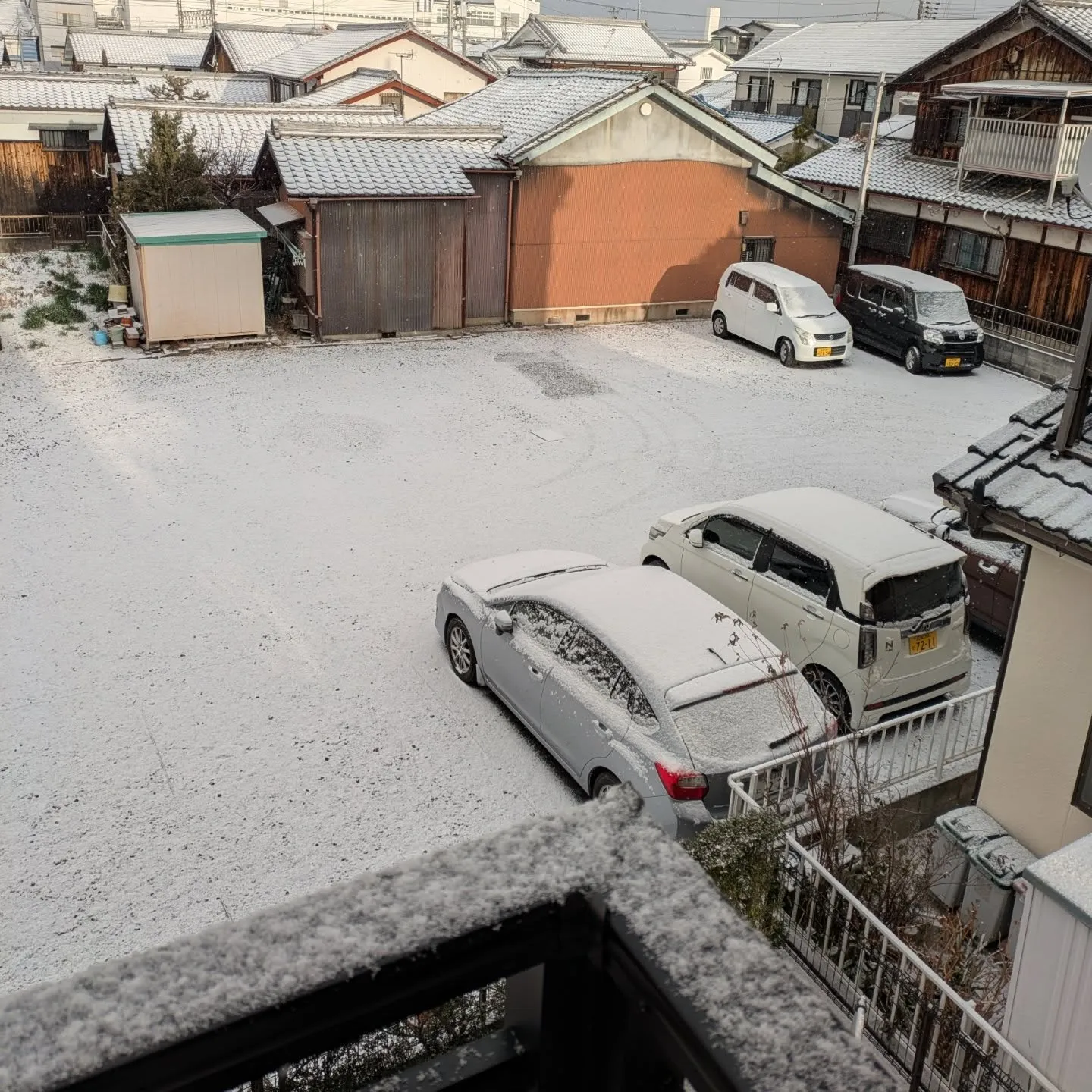 おはようございます☃️