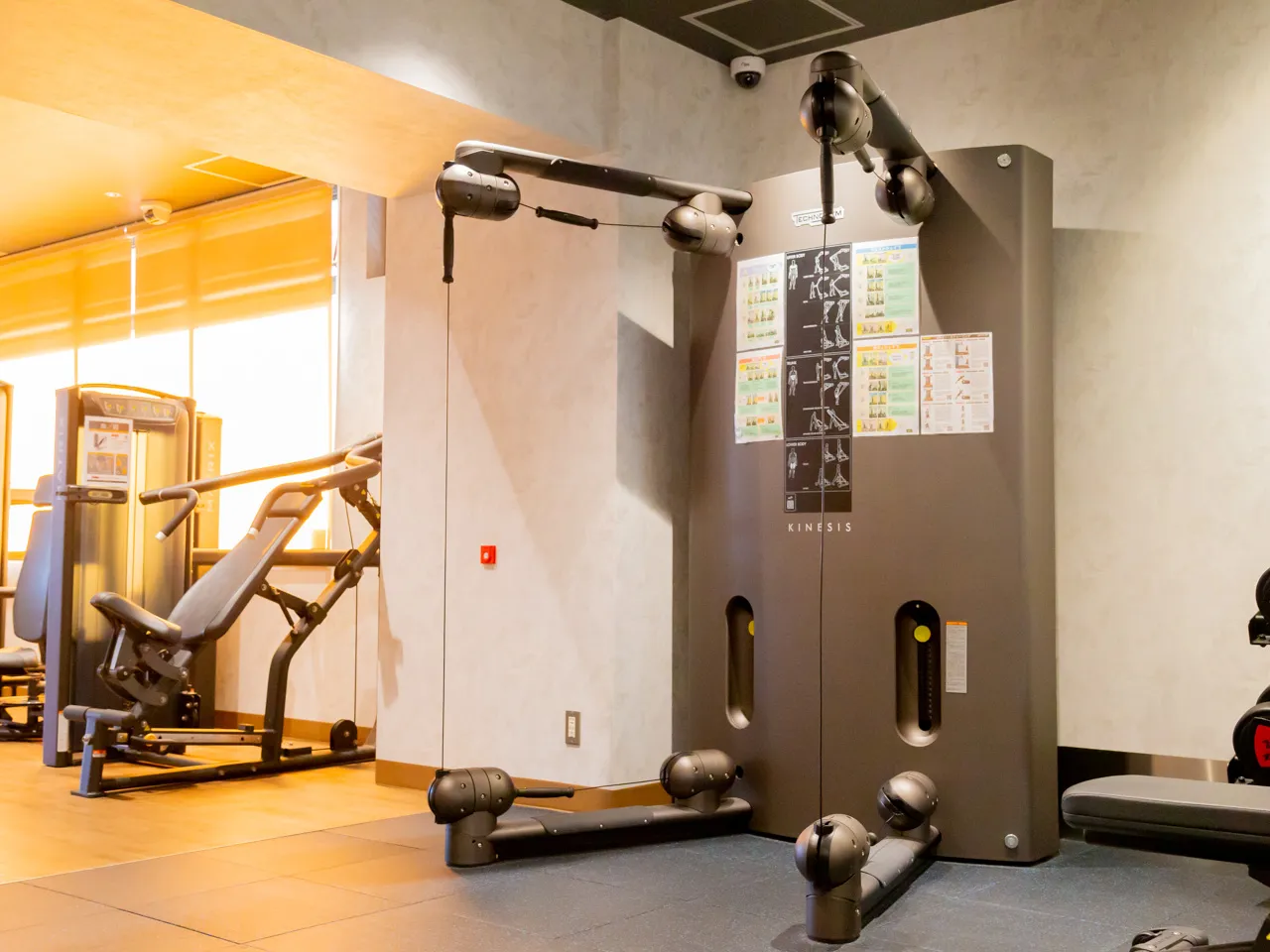 春から新しいこと始める方応援します！