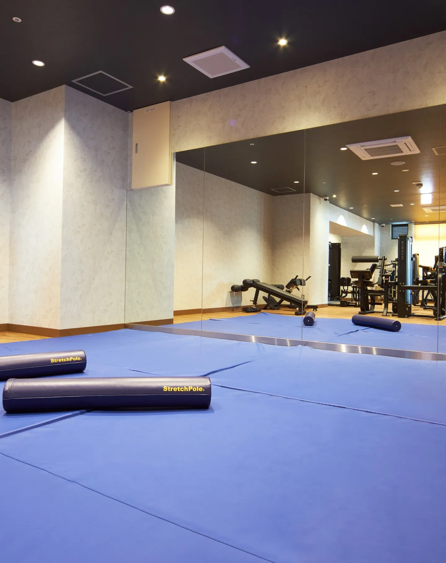 梅雨に入り鬱陶しい日が続いていますね💦