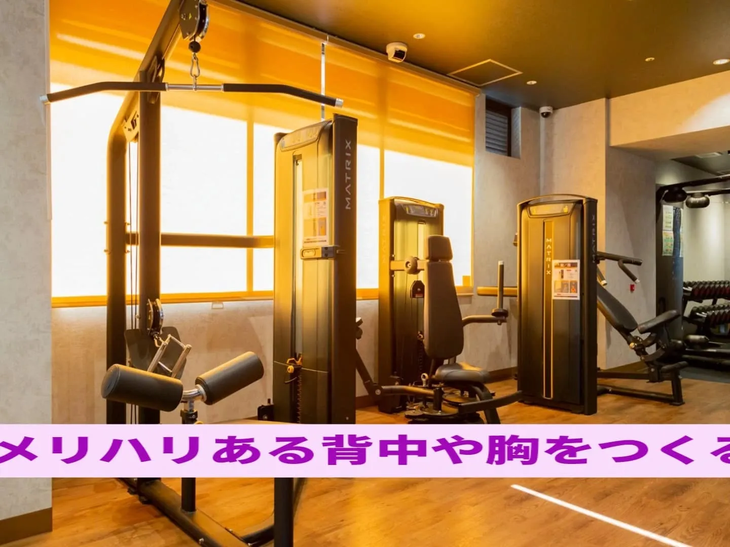 お陰様で5周年を迎えることができました🎉