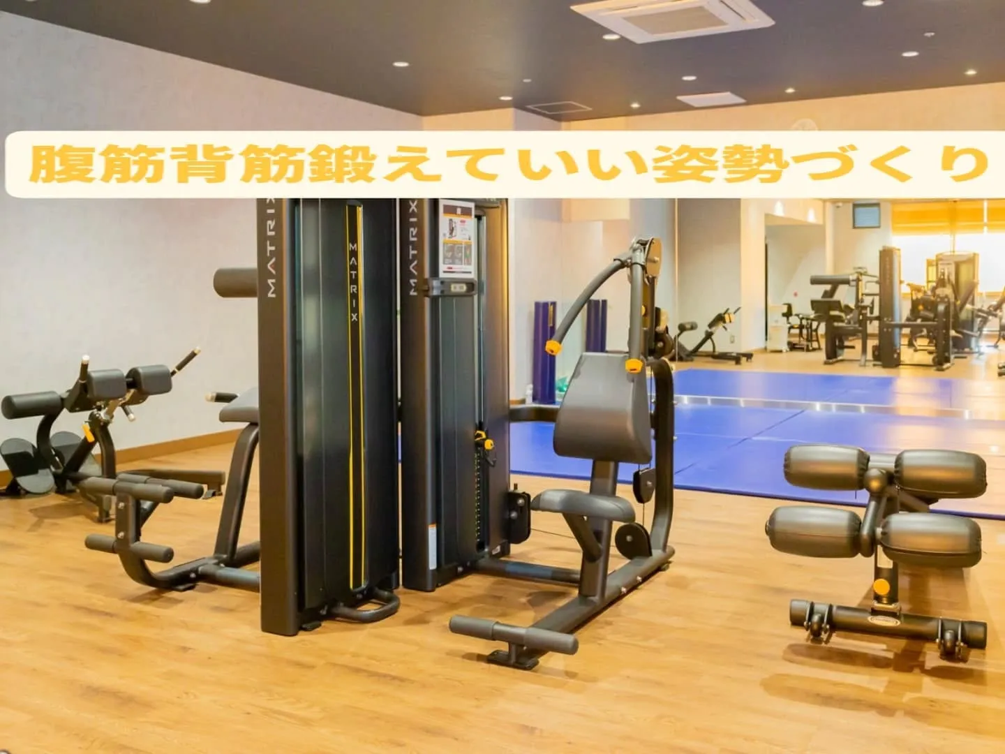 お陰様で5周年を迎えることができました🎉