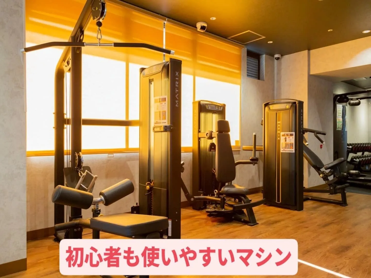 早いもので今年半分が終わり、更に7月も残り約10日ほどになり...