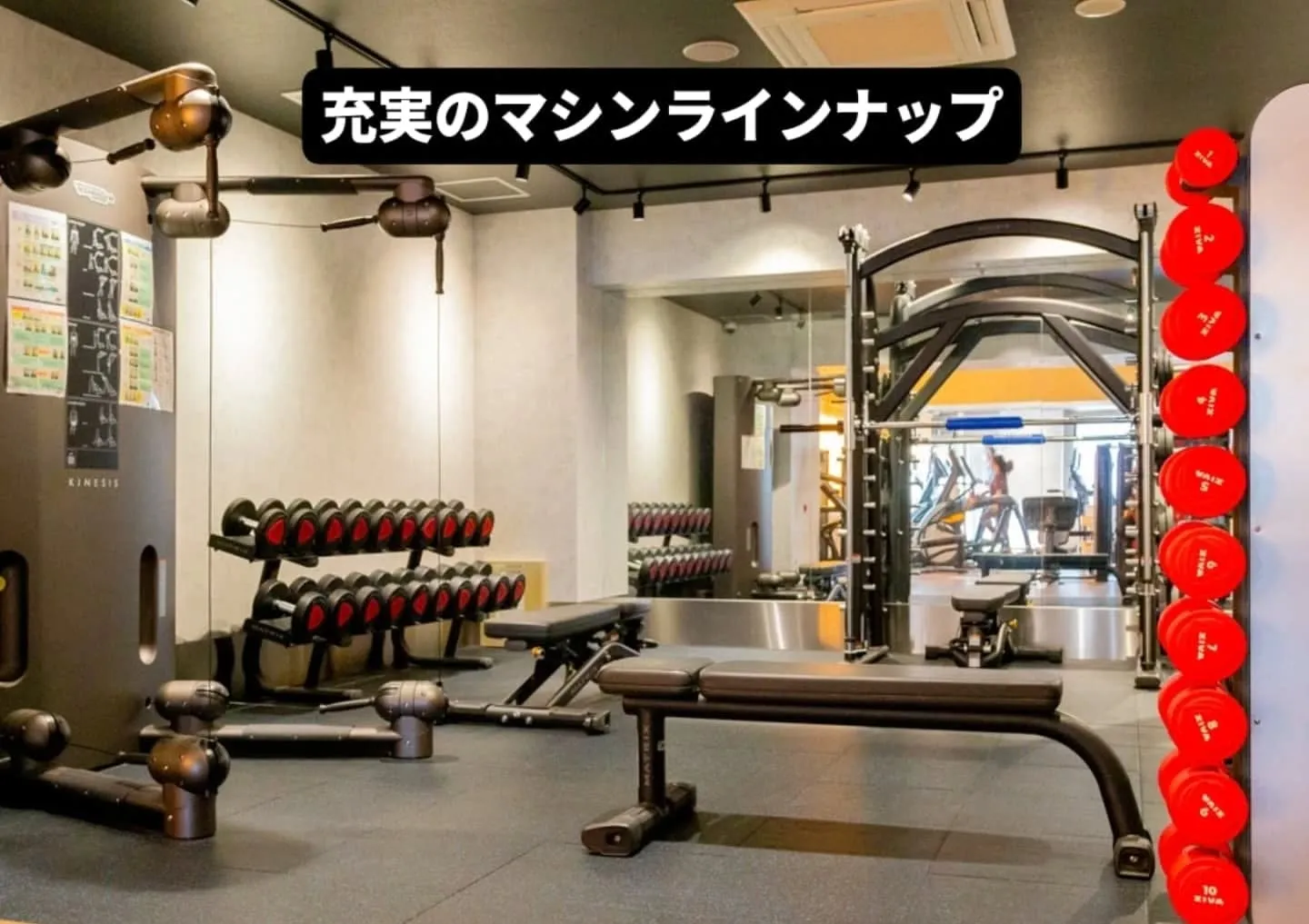 秋とはまだ言えないような気温の日が続いていますが☀️