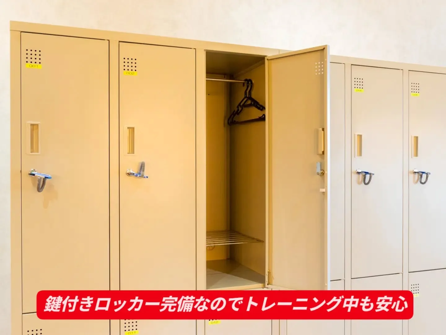 早いもので今日から11月😃