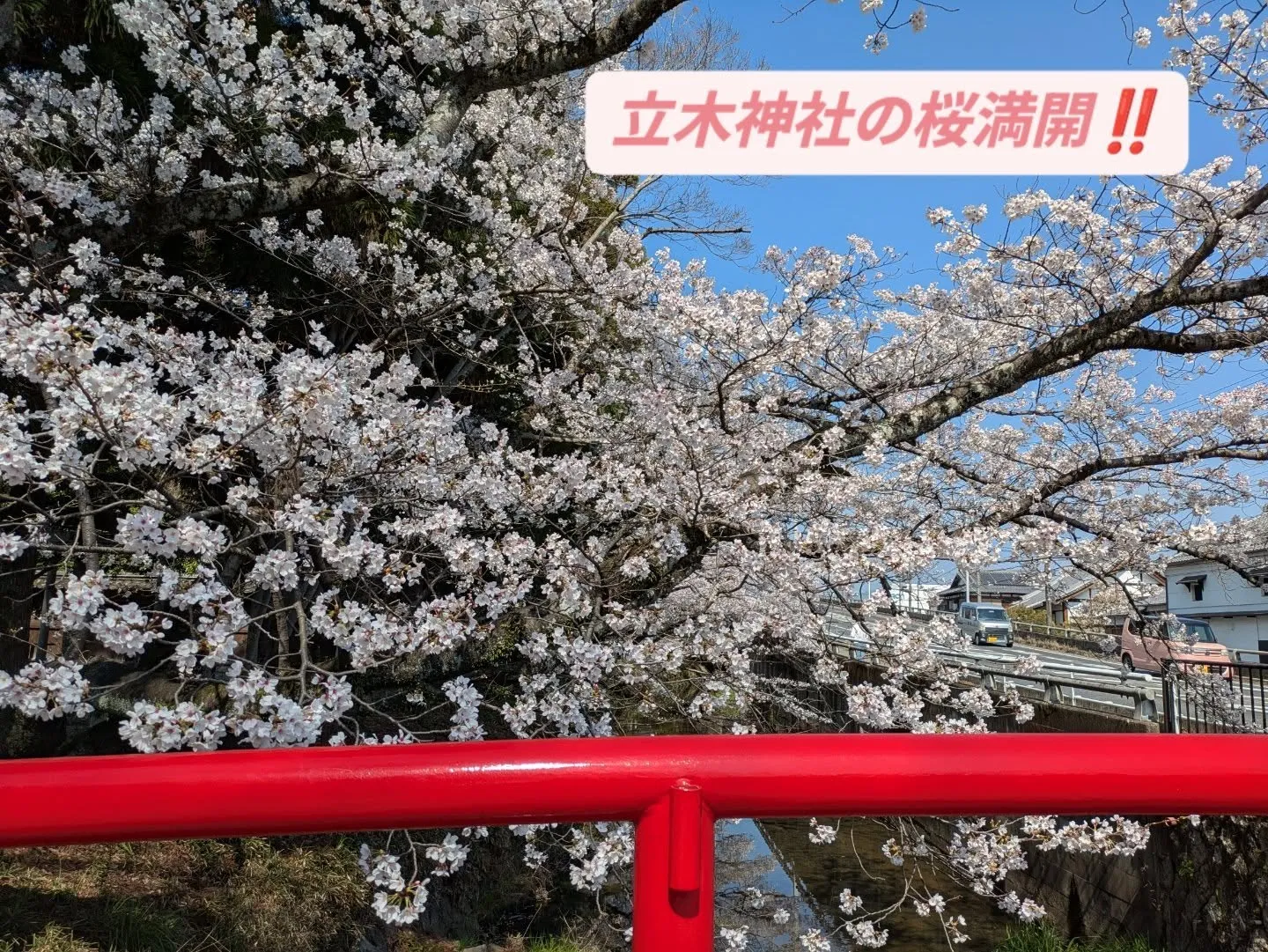 今日は立木神社まで少しお散歩🚶