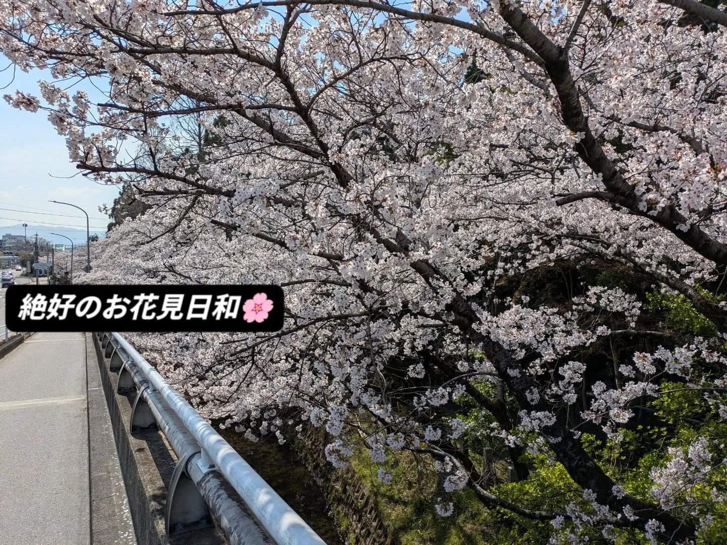 今日は立木神社まで少しお散歩🚶