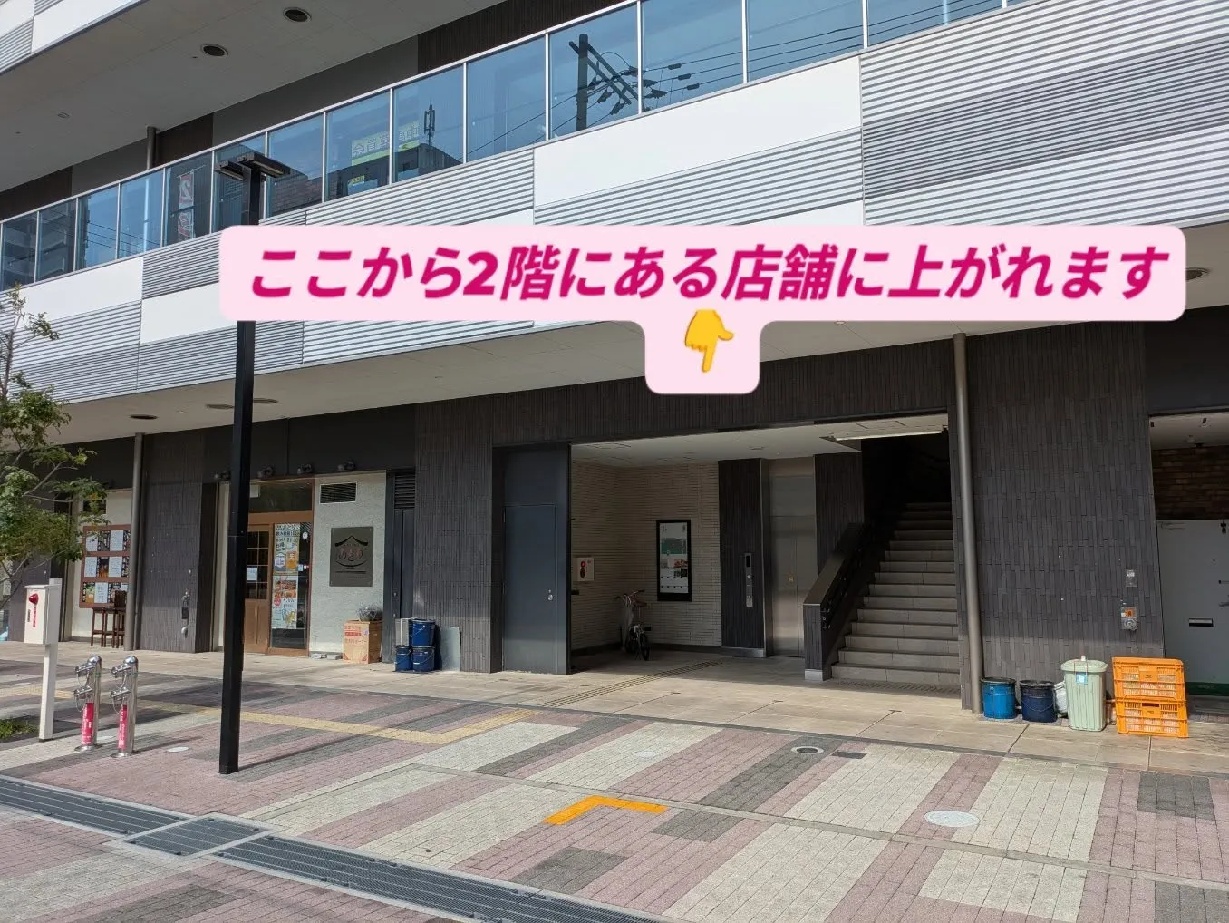 春のキャンペーン実施中のWELLNESS24です😁