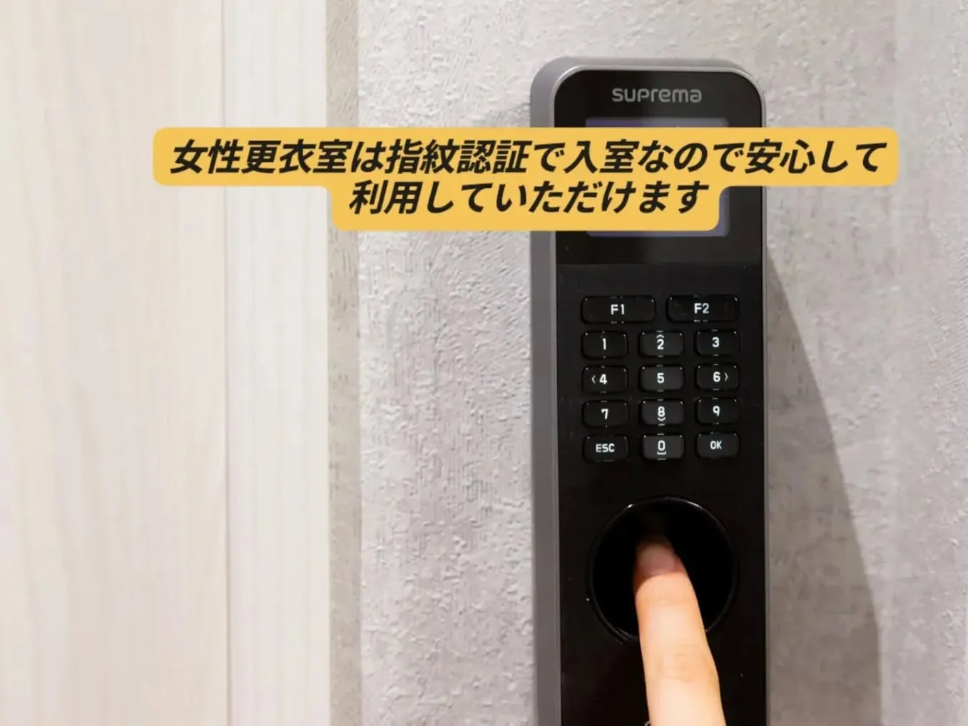 とてもオトクな春の入会キャンペーンも残すところこの土日までと...