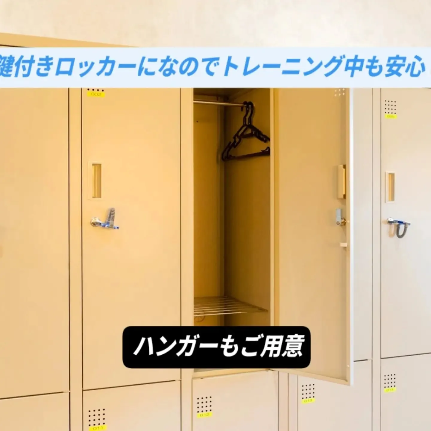 《朗報‼️》